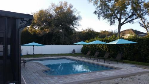 Umbrella Sleeves with Umbrellas